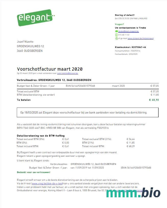 Belgia elegancki rachunek za media Word i szablon PDF